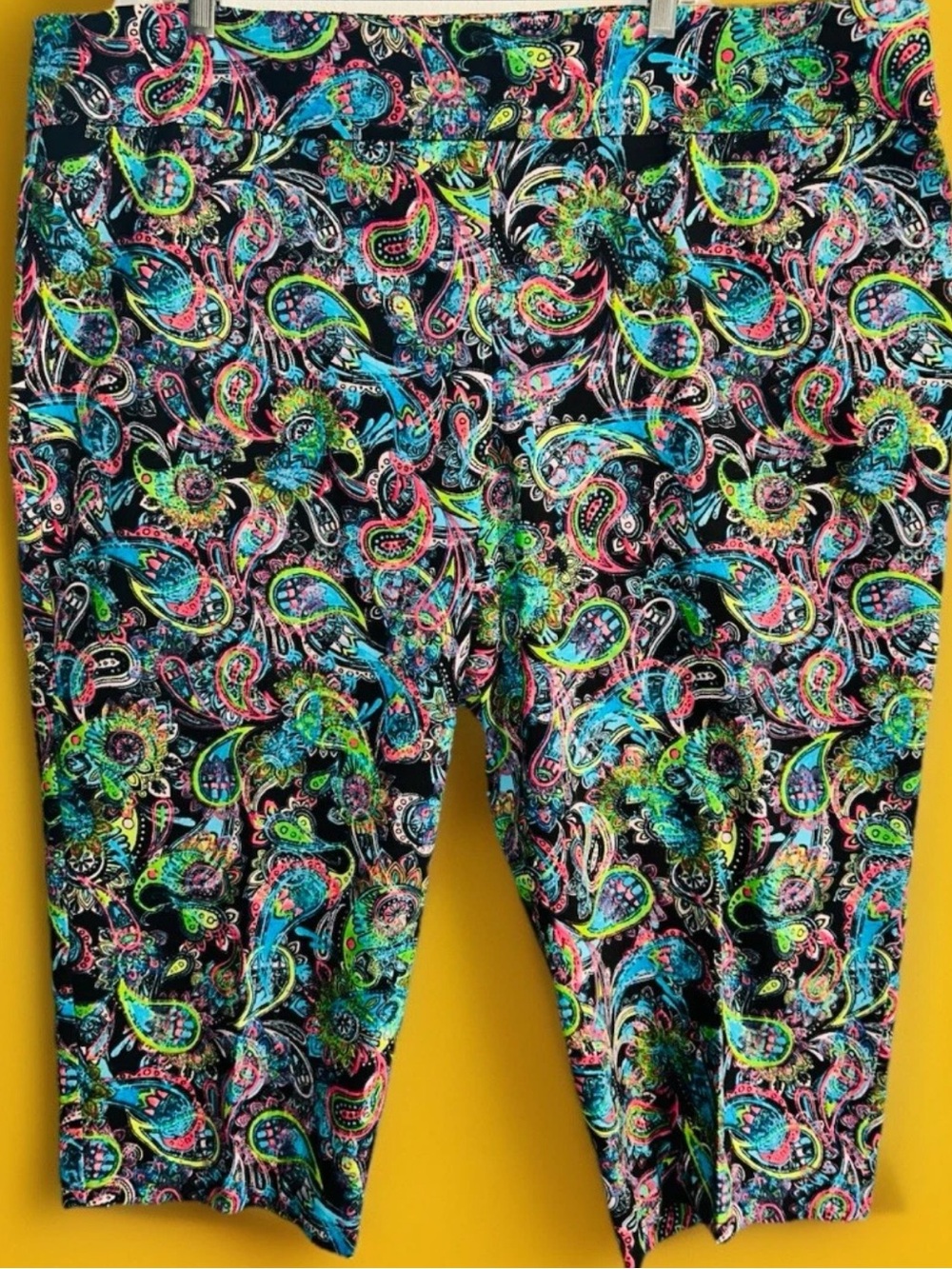 Attyre Woman Paisley Pull On Cropped Pants Plus Size 24W Stretch Dopamine boho